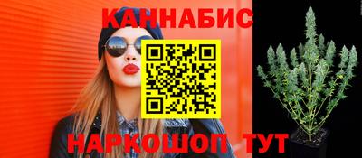 прущие грибы Тулун