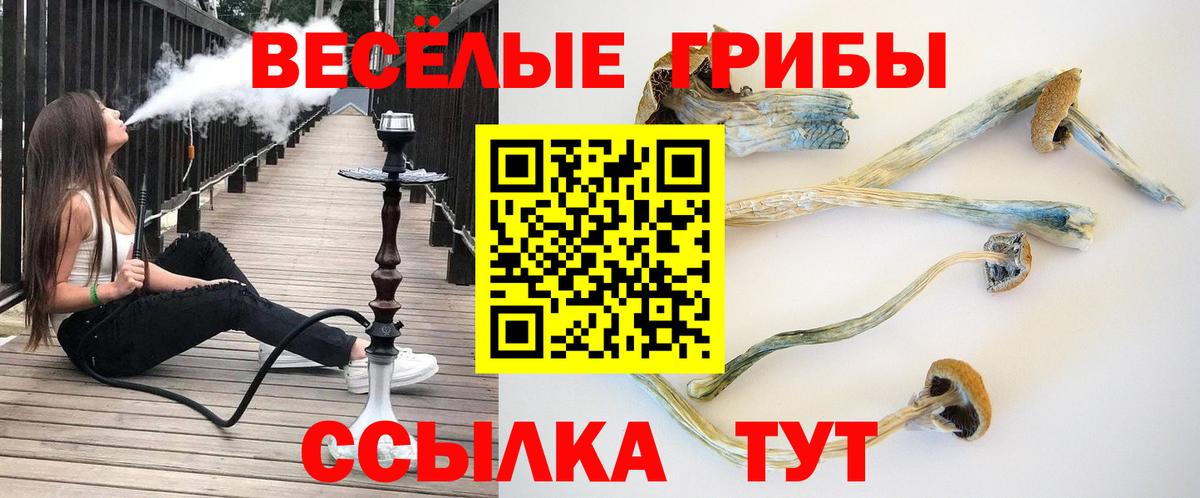 Псилоцибиновые грибы мухоморы Нижнеудинск